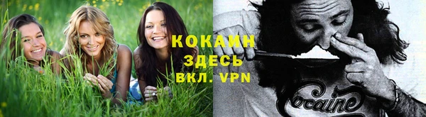 гидропоника Алексеевка